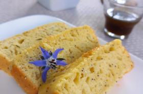 Terre en Vue - photo 23