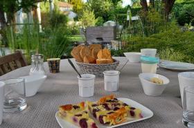 Terre en Vue - photo 26