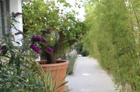 Central Park Hôtel & Spa - photo 7