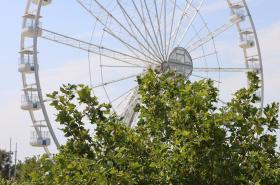 Un Hotel sur le Port - photo 10