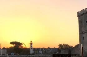 La Maison du Palmier - photo 6