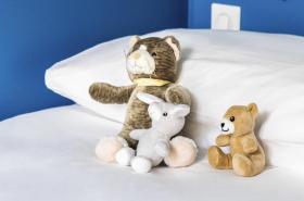 ibis Budget La Rochelle Centre - photo 7