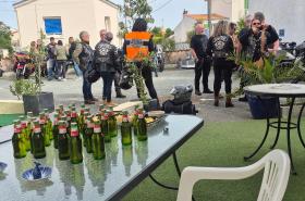 Hotel Les Rosiers - photo 16